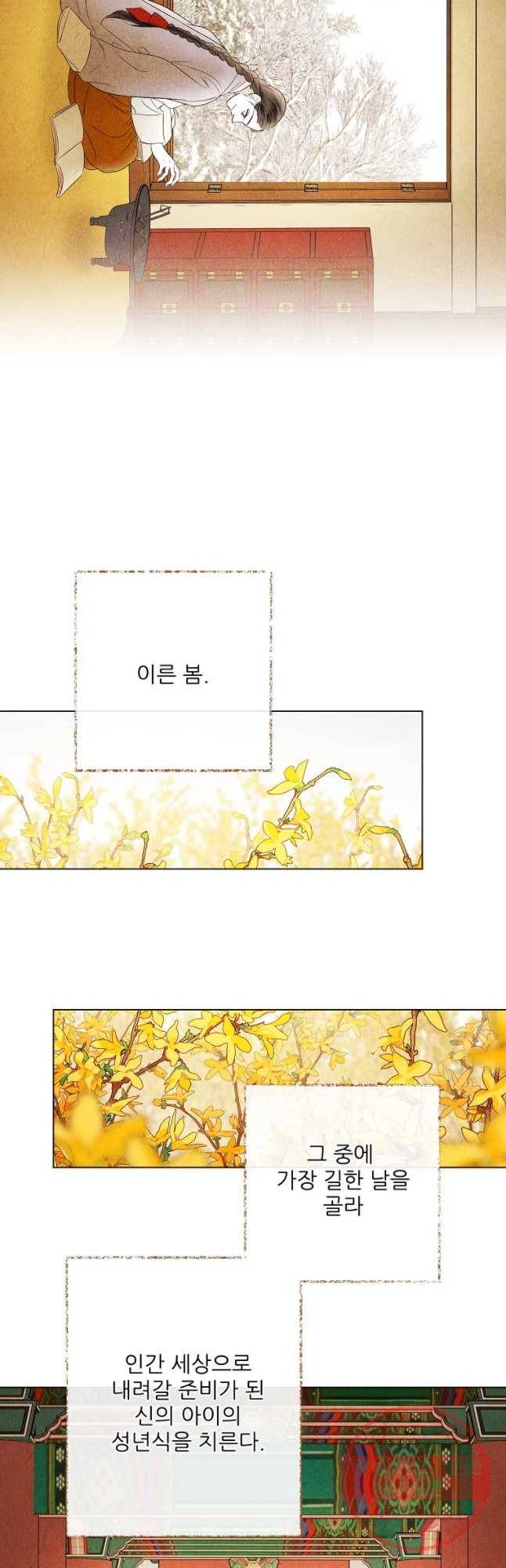 신의 태궁 먼 길 돌아 5