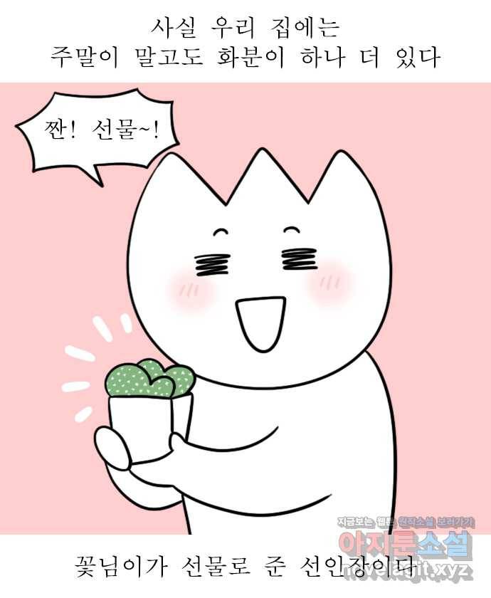 독립일기 시즌2 60화 선인장 1