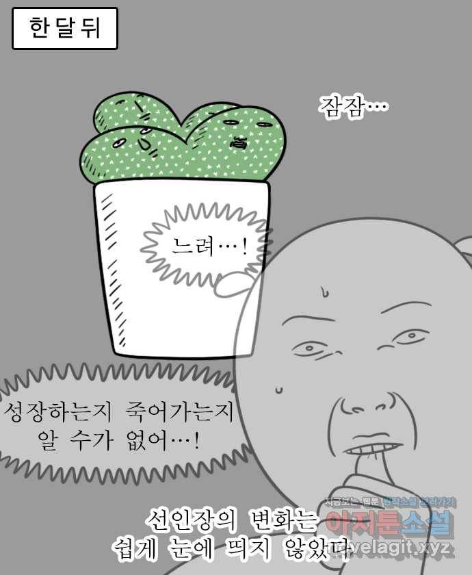 독립일기 시즌2 60화 선인장 7