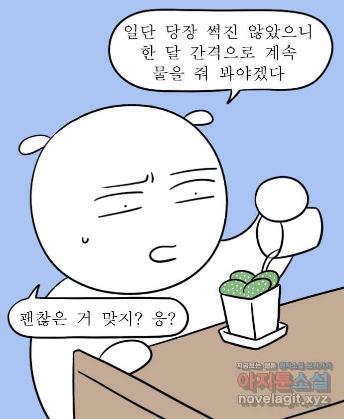 독립일기 시즌2 60화 선인장 8
