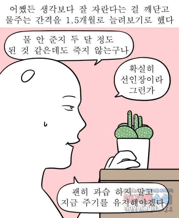 독립일기 시즌2 60화 선인장 13