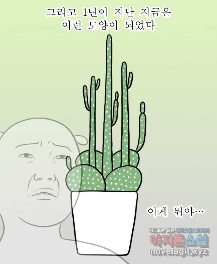 독립일기 시즌2 60화 선인장 18