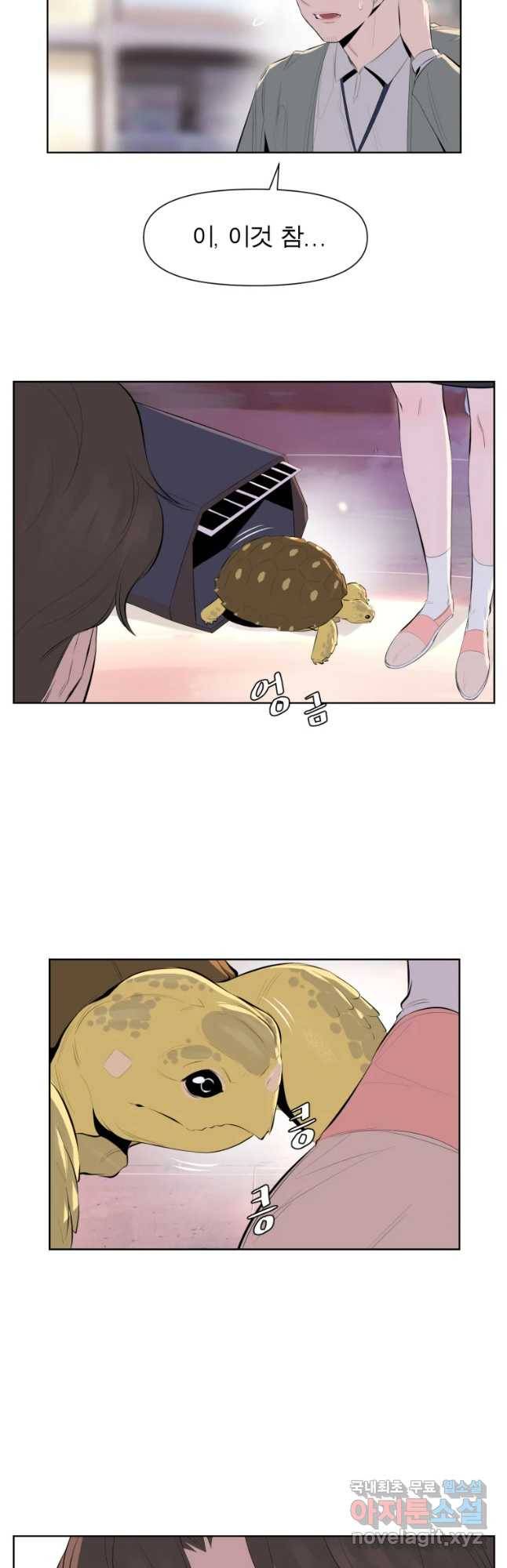 케어시트 28화 약수 4