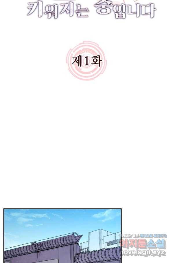 전설 헌터로 키워지는 중입니다 1화 13