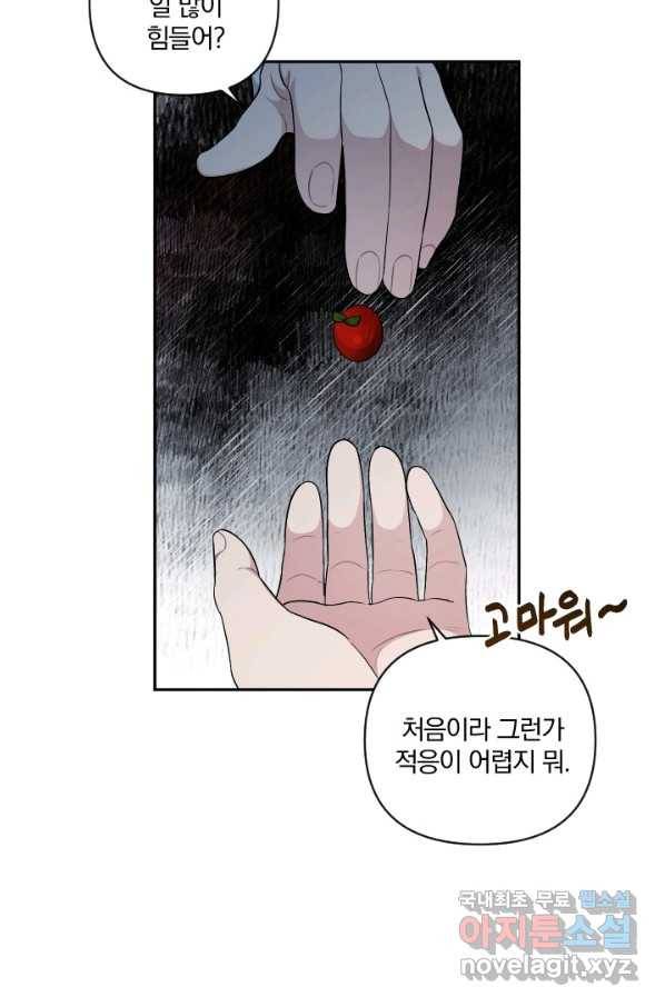 TL 소설 속 시녀가 되었습니다 62화 52