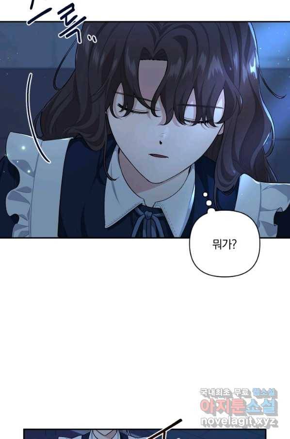 TL 소설 속 시녀가 되었습니다 62화 59