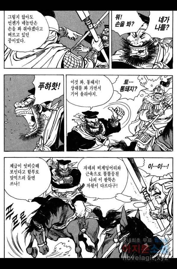 박봉성 삼국지 3부 13권 171