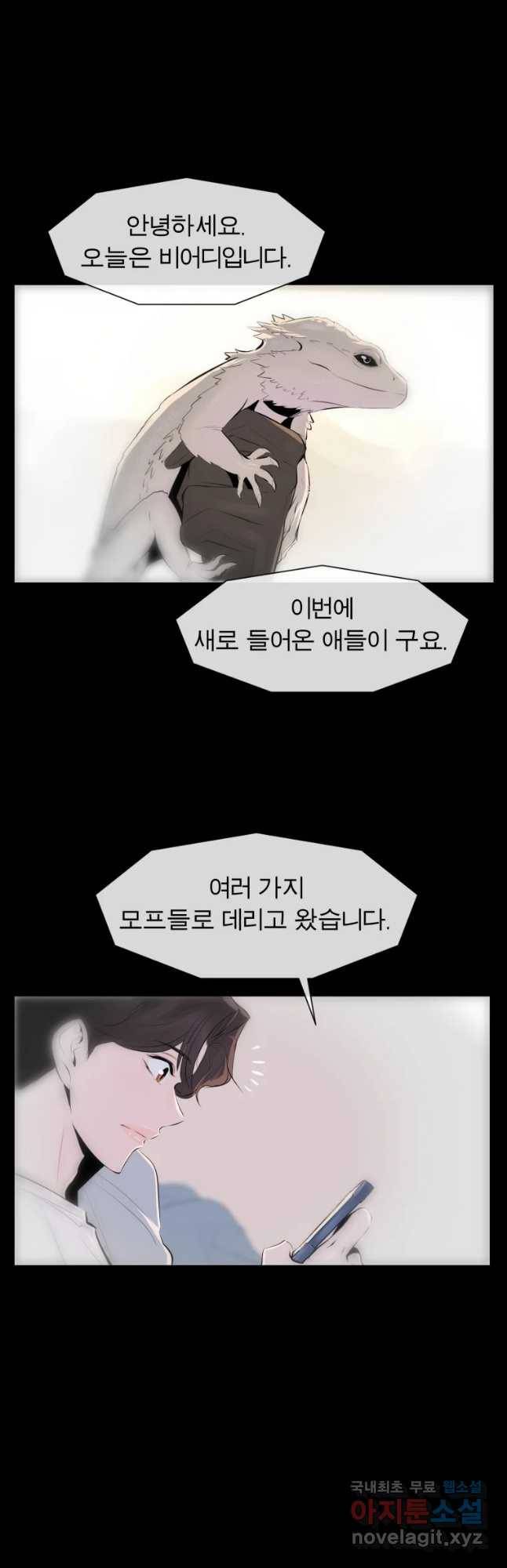 케어시트 30화 변화 30