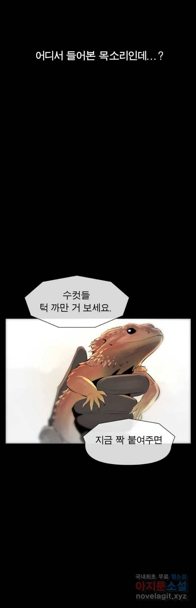 케어시트 30화 변화 31
