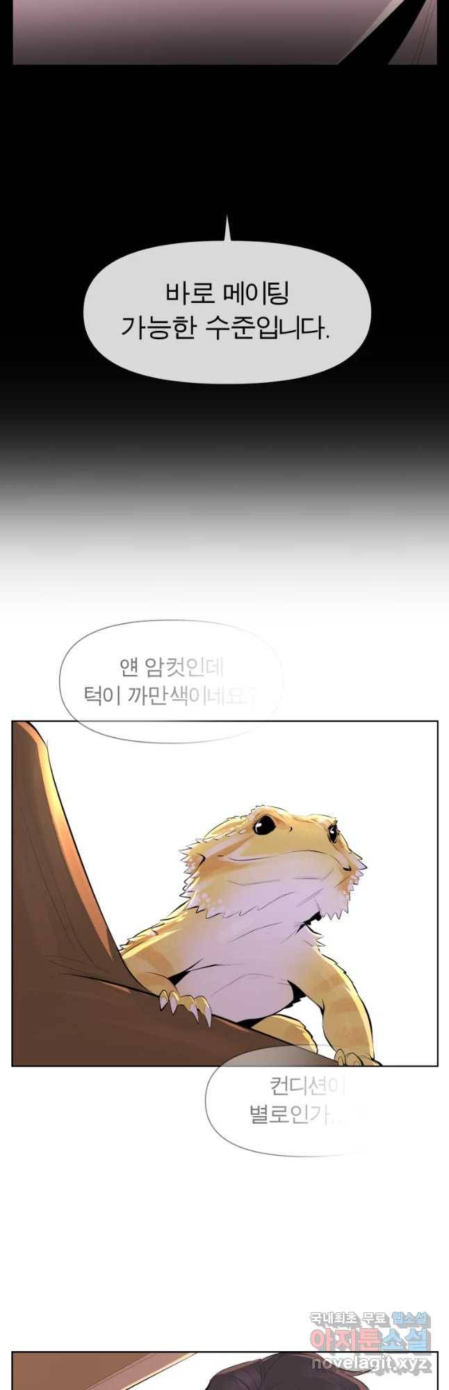 케어시트 30화 변화 33