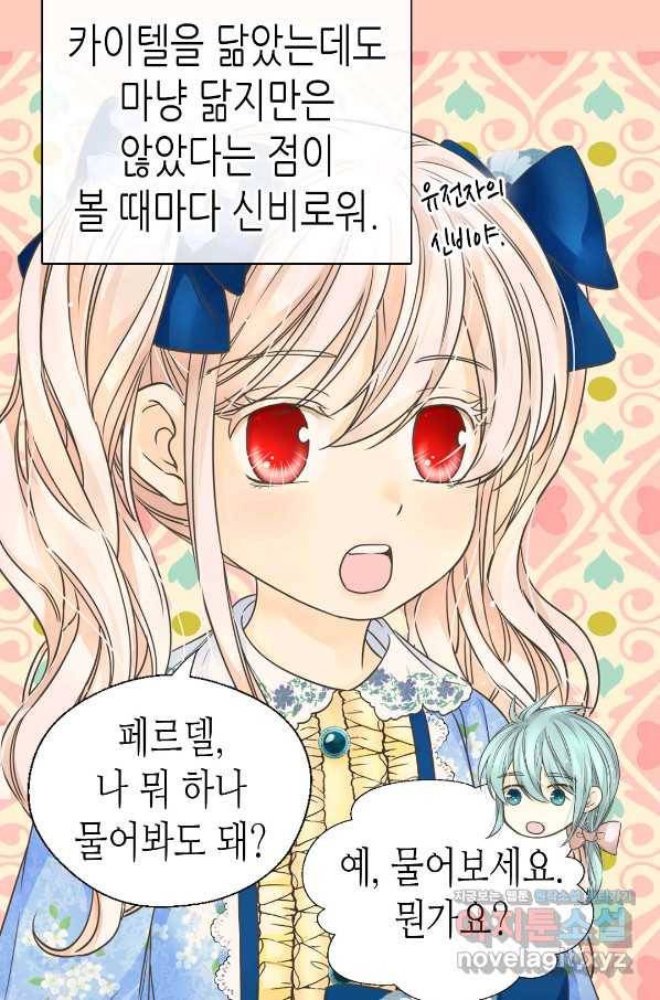 황제의 외동딸 241화 13