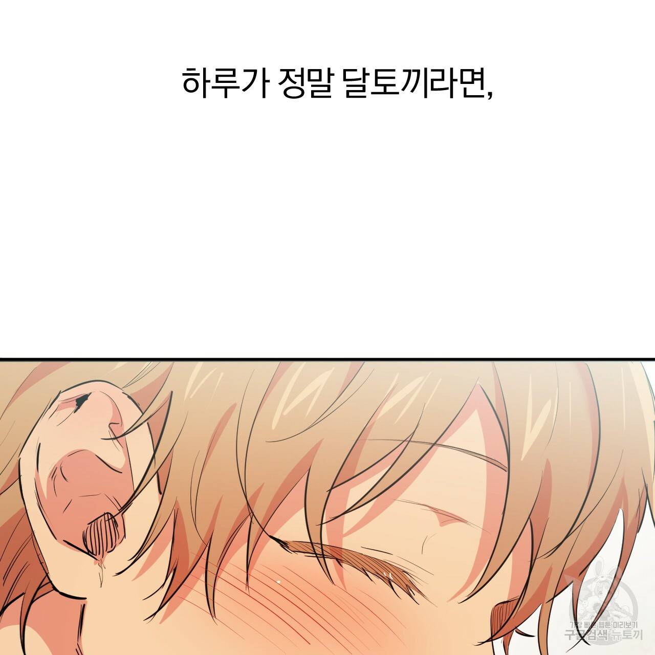 하비비의 토끼들 31화 28