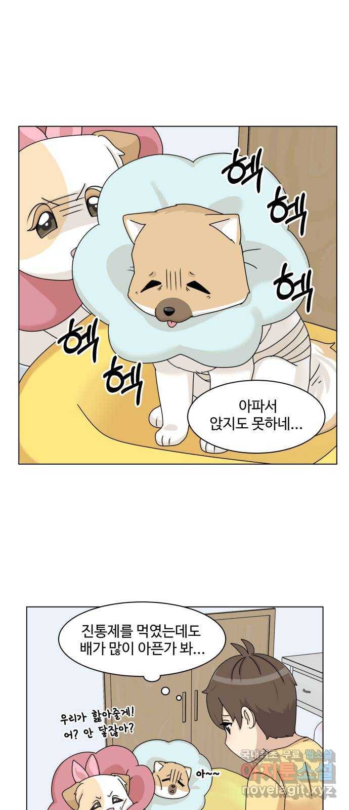 개를 낳았다 시즌2 97화 2