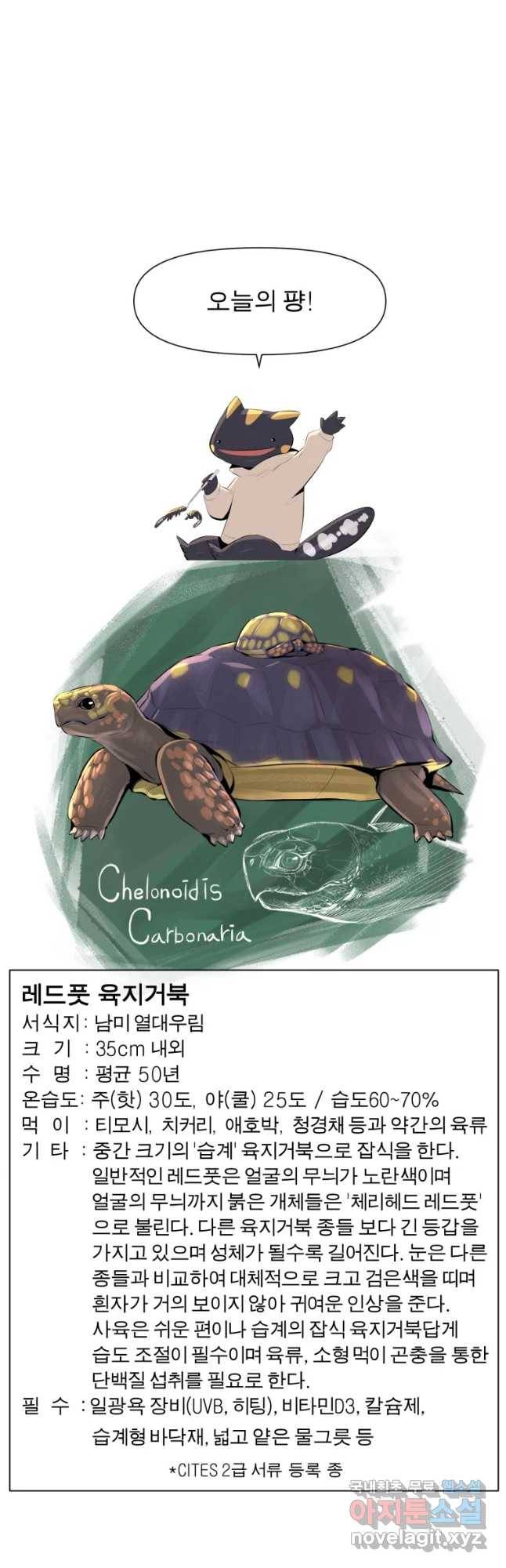 케어시트 35화 바보 36