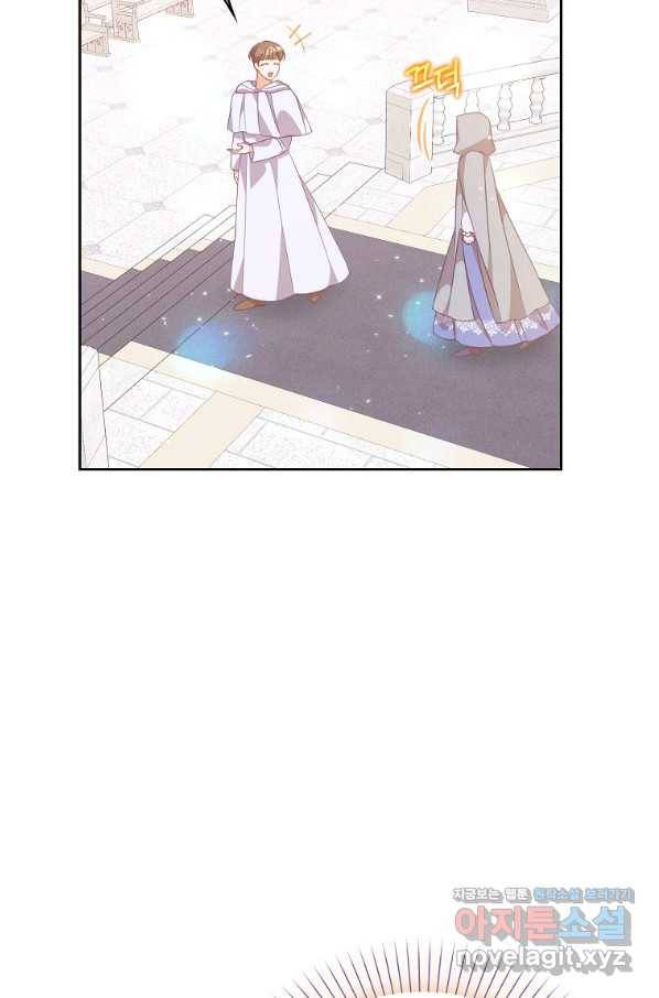 악당 대공님의 귀하디귀한 여동생 73화 14