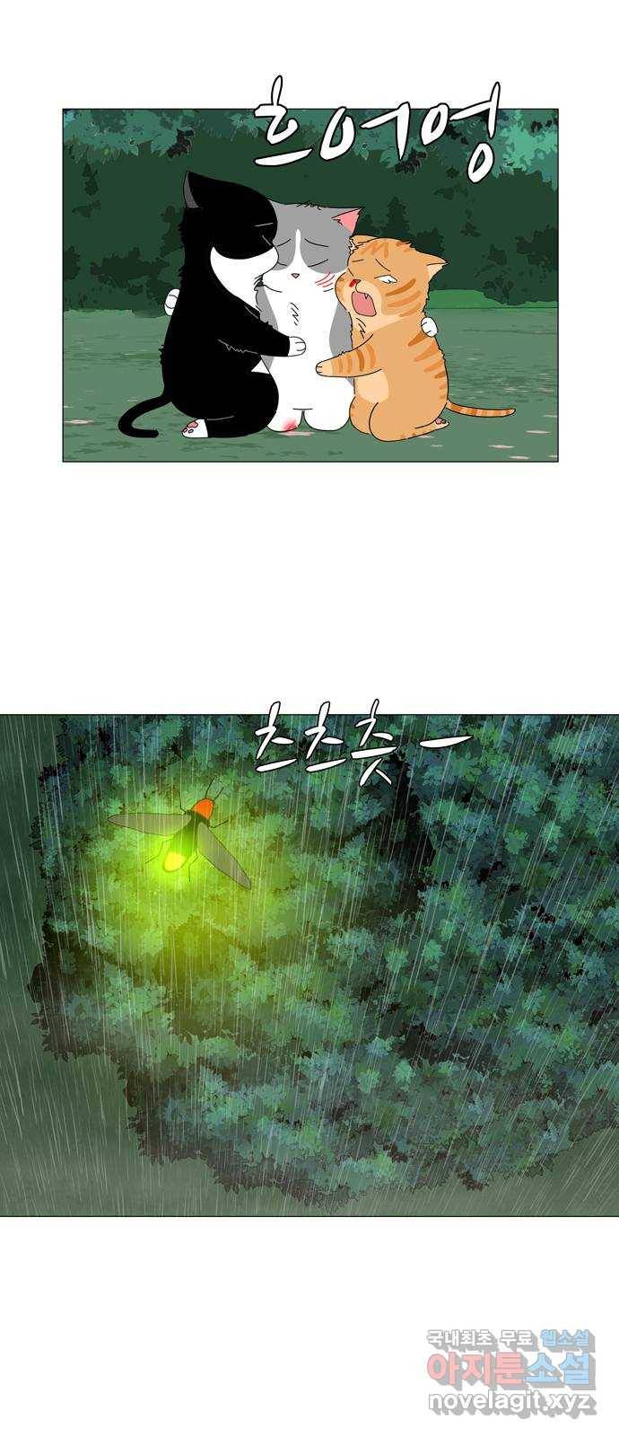 야생천사 보호구역 66화 고백 1
