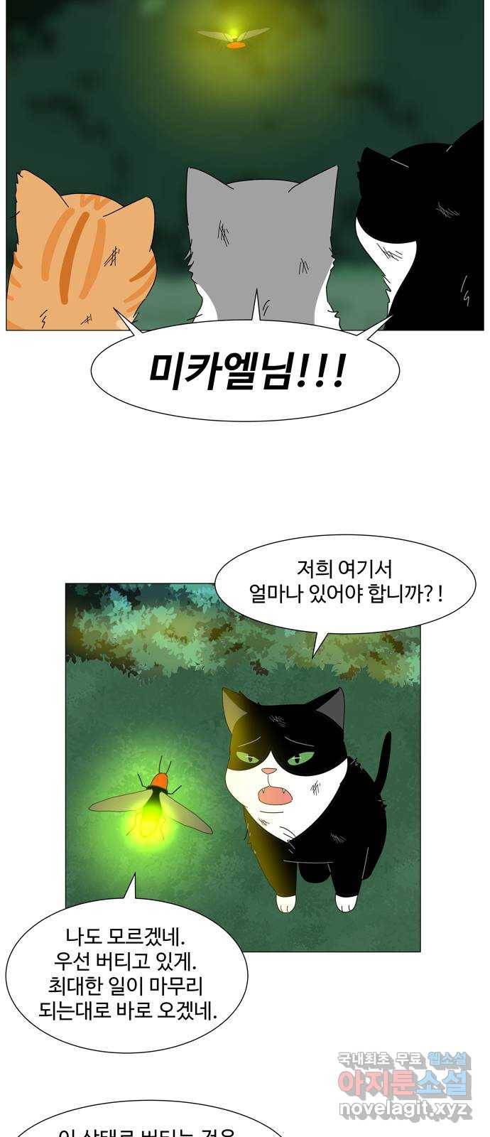 야생천사 보호구역 66화 고백 3