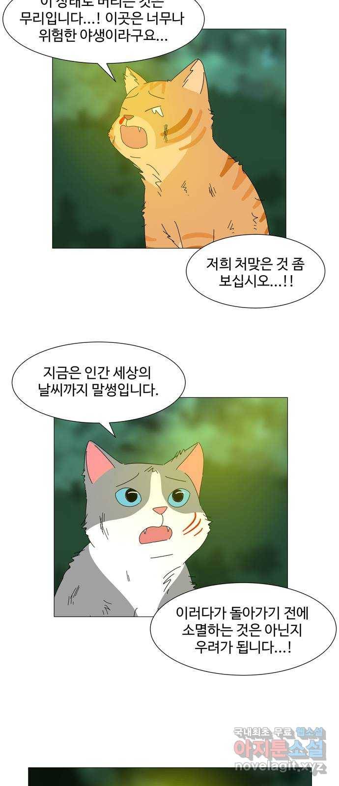 야생천사 보호구역 66화 고백 4