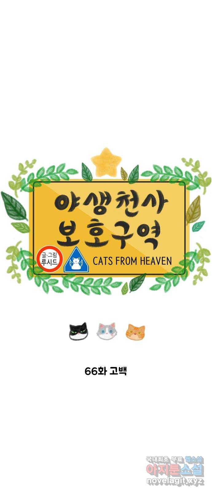 야생천사 보호구역 66화 고백 9