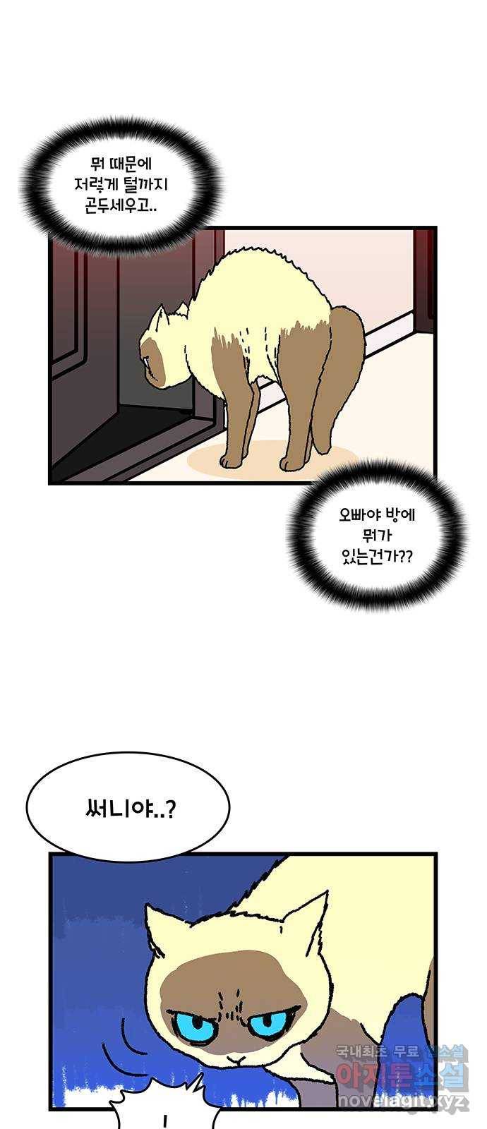 윌유메리미 시즌2 575화 딩동 써니 복만_3／4(역할) 3