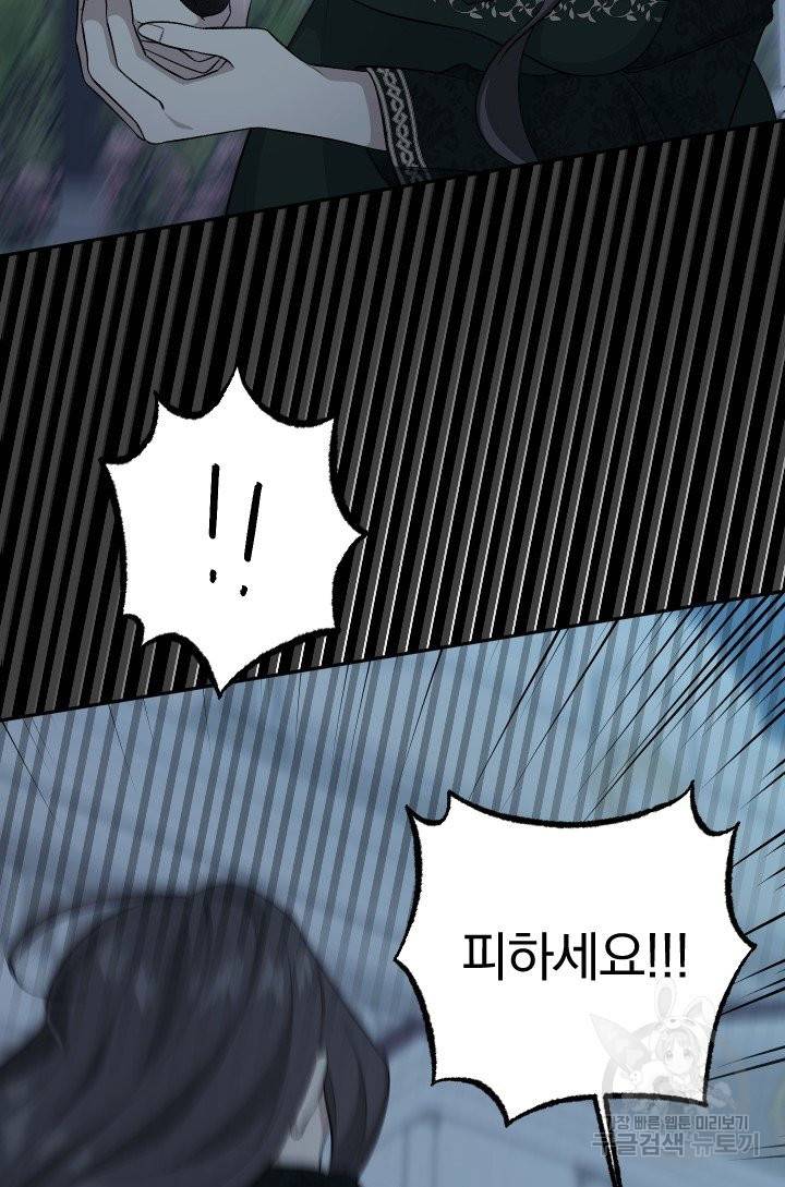 TL 소설 속 시녀가 되었습니다 66화 28