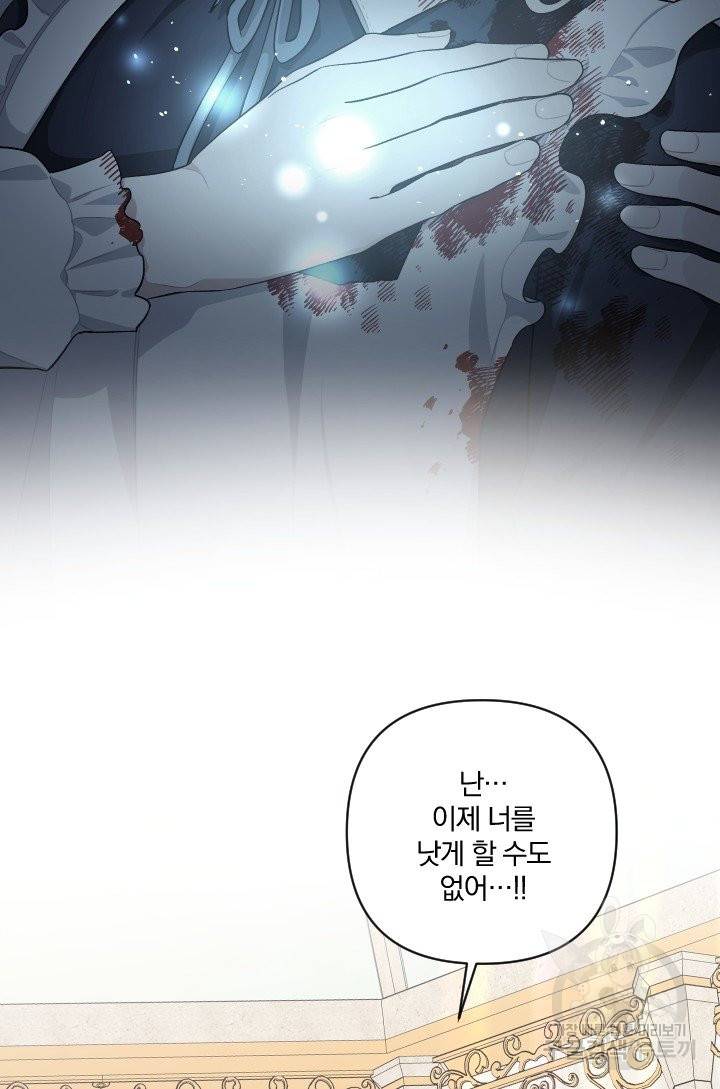 TL 소설 속 시녀가 되었습니다 66화 60