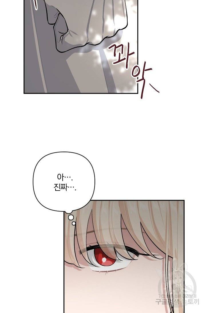 TL 소설 속 시녀가 되었습니다 66화 80