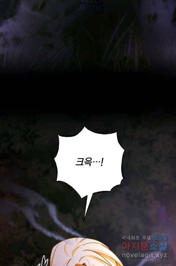 공녀님은 이상형과 결혼하기 싫어요 40화 3
