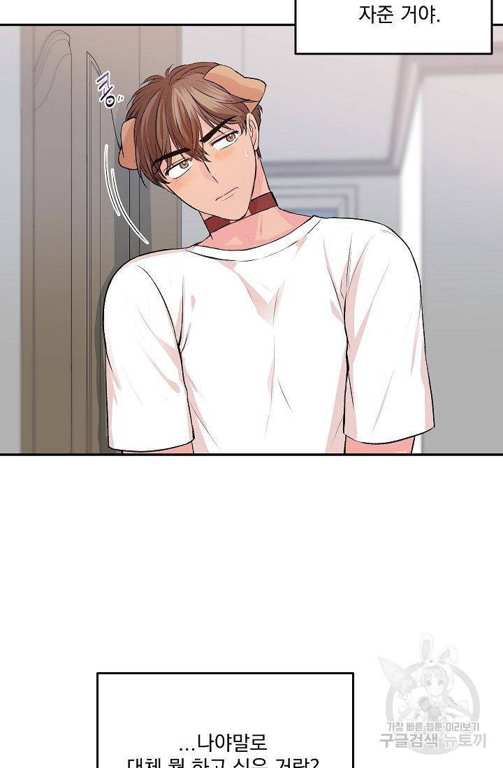 굿 독 마이 보이 4화 연재중단 14