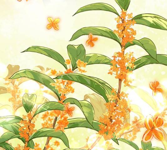 그림자 신부 그림자 신부 73화 58