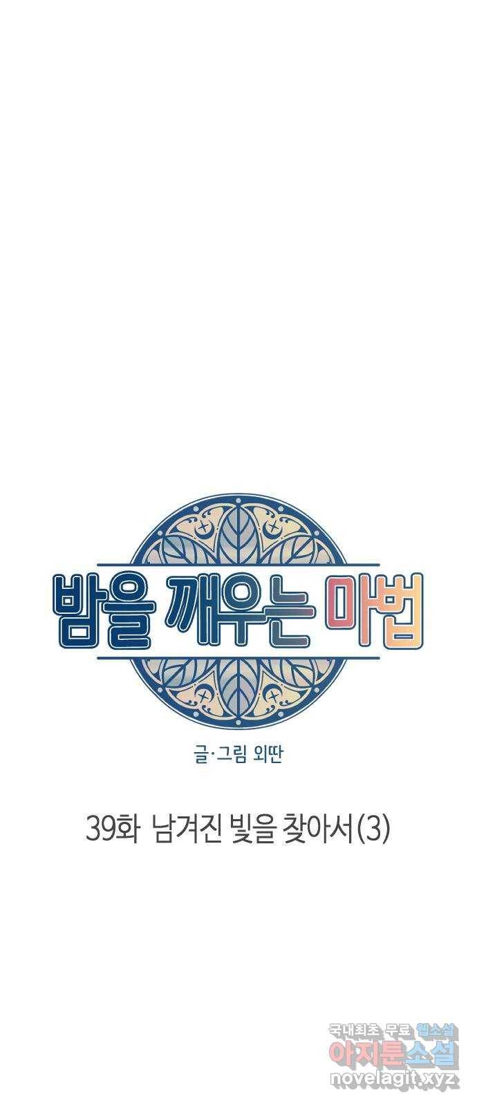 밤을 깨우는 마법 39화 남겨진 빛을 찾아서(3) 8