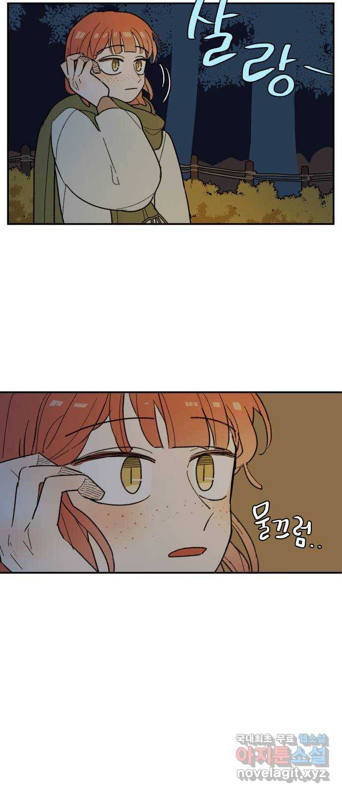 밤을 깨우는 마법 39화 남겨진 빛을 찾아서(3) 28