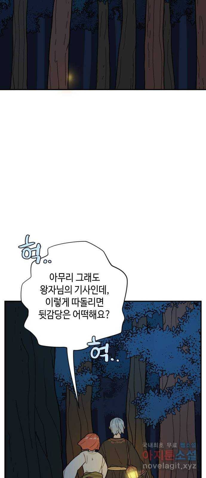 밤을 깨우는 마법 39화 남겨진 빛을 찾아서(3) 43