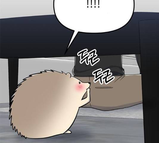 베어케어 16화 9