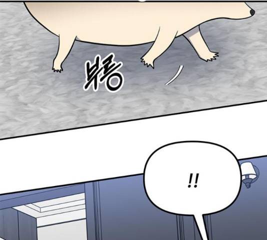베어케어 16화 24