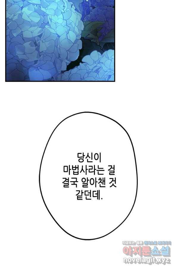 마법사는 가난해 48화 29