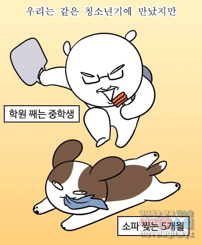 독립일기 시즌2 81화 잠자는 집 속의 강아지 1