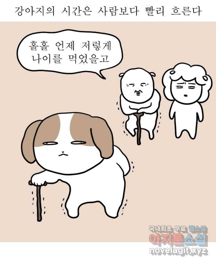 독립일기 시즌2 81화 잠자는 집 속의 강아지 2