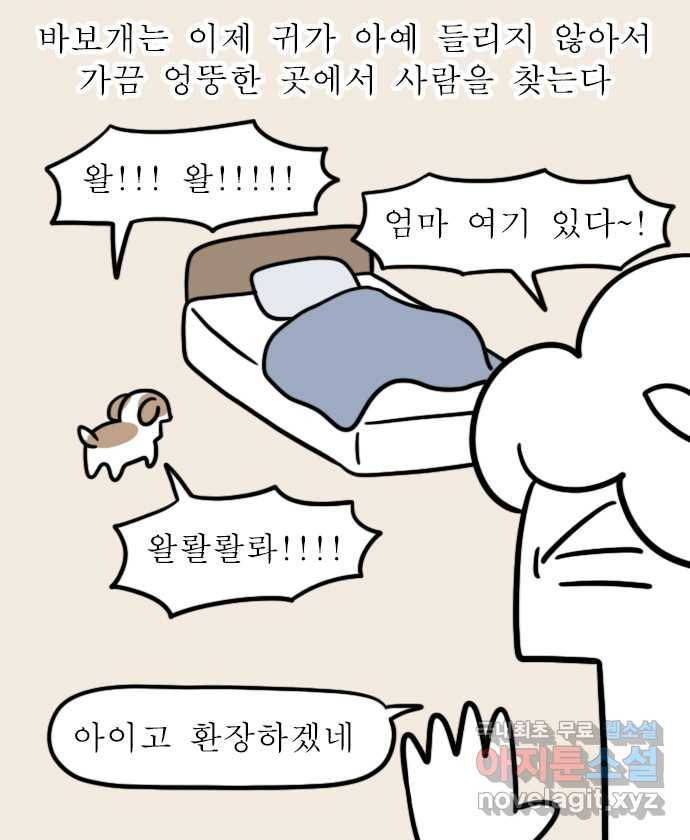 독립일기 시즌2 81화 잠자는 집 속의 강아지 3