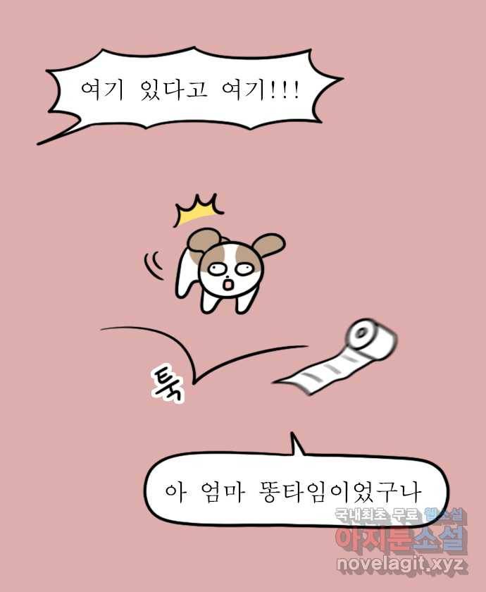 독립일기 시즌2 81화 잠자는 집 속의 강아지 4