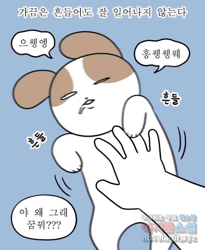독립일기 시즌2 81화 잠자는 집 속의 강아지 7