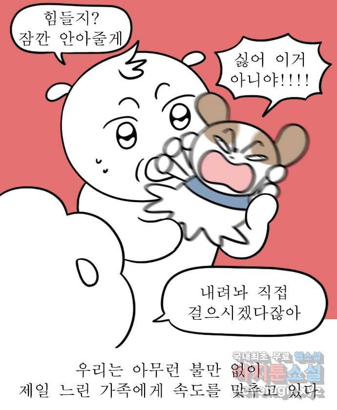 독립일기 시즌2 81화 잠자는 집 속의 강아지 13
