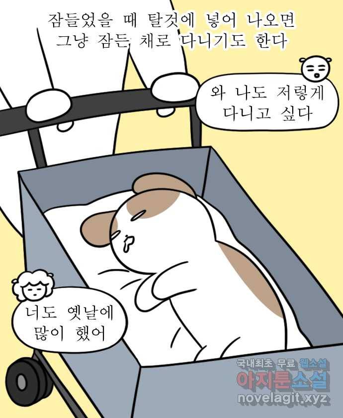 독립일기 시즌2 81화 잠자는 집 속의 강아지 14