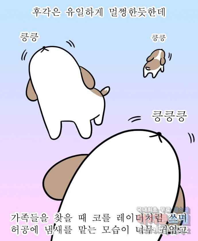 독립일기 시즌2 81화 잠자는 집 속의 강아지 15
