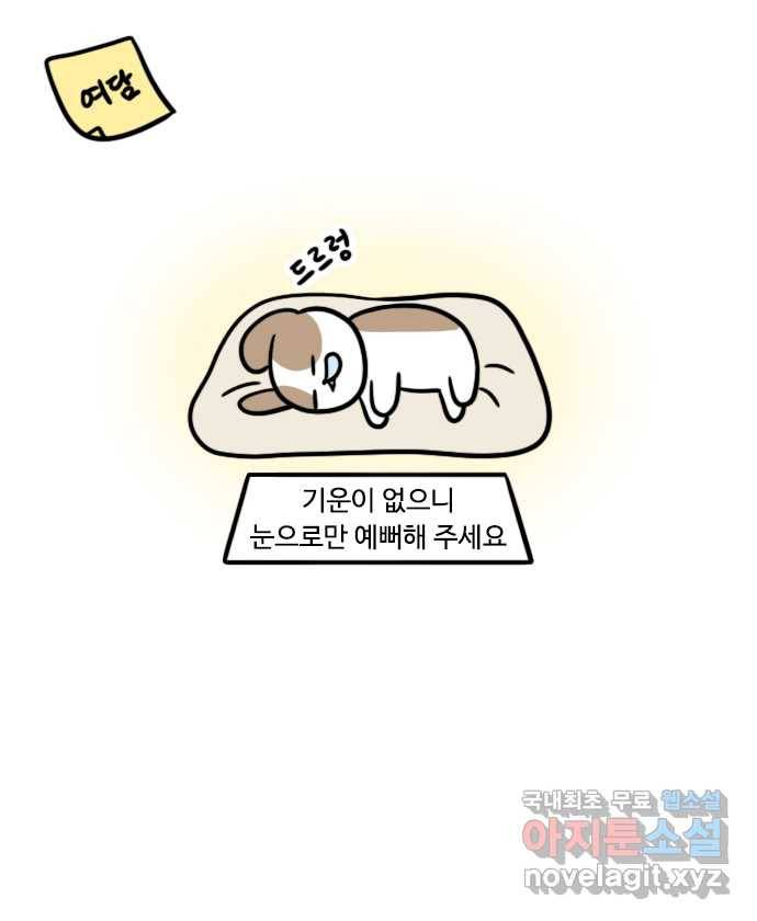 독립일기 시즌2 81화 잠자는 집 속의 강아지 20