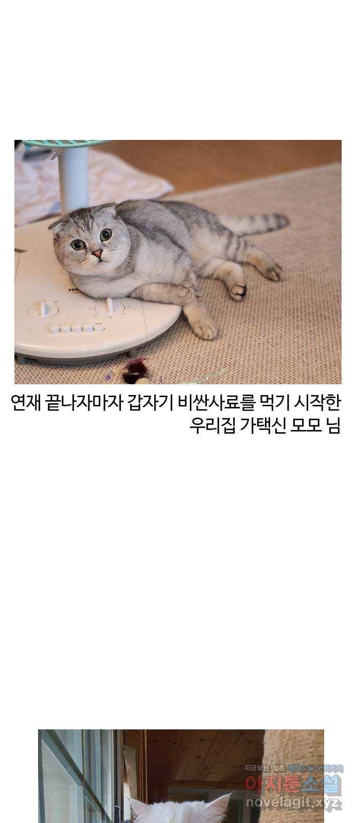 시월드 판타지 후기 62