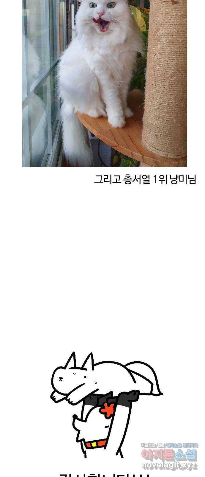 시월드 판타지 후기 63