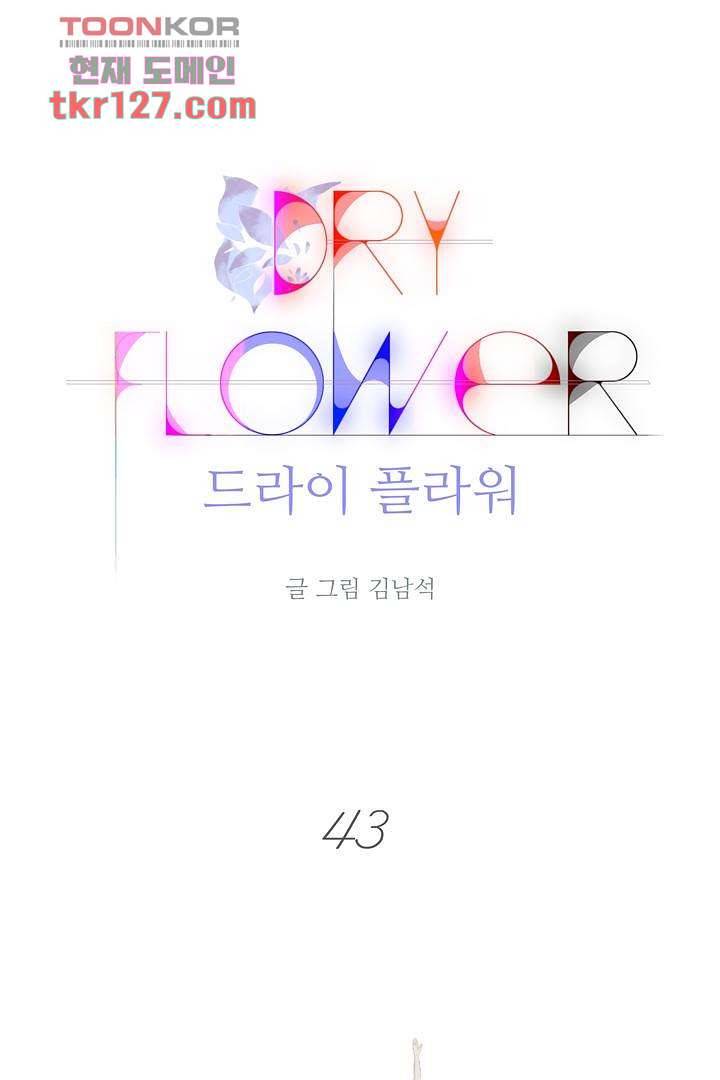 드라이 플라워 (Dry flower) 43화 1
