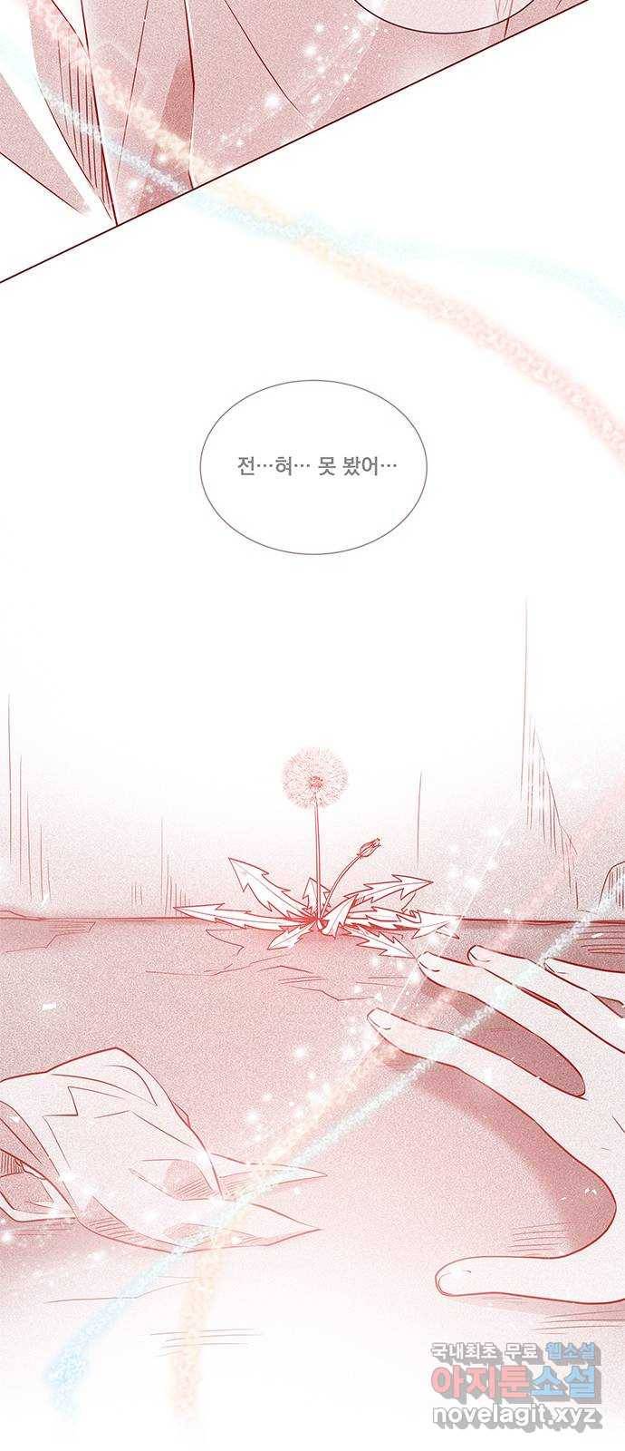 뱀은 꽃을 먹는가 후기 53