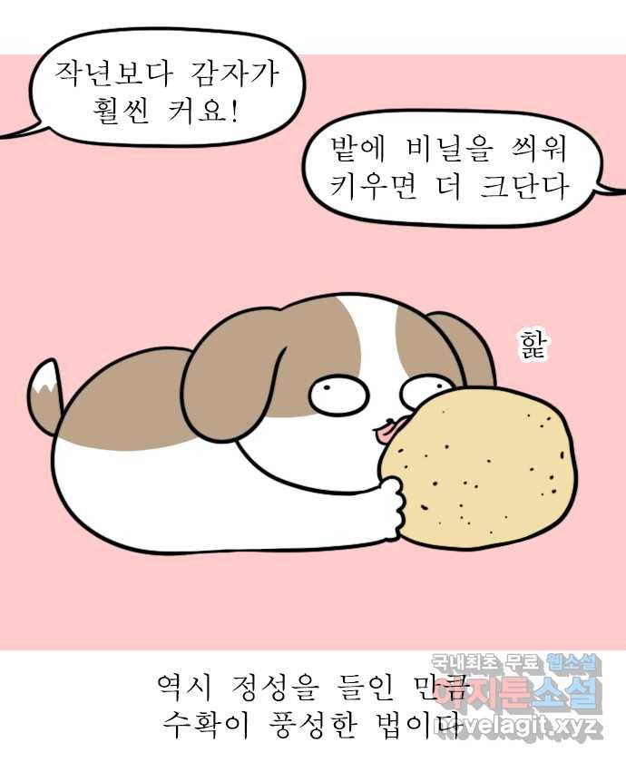독립일기 시즌2 90화 감자의 계절 11